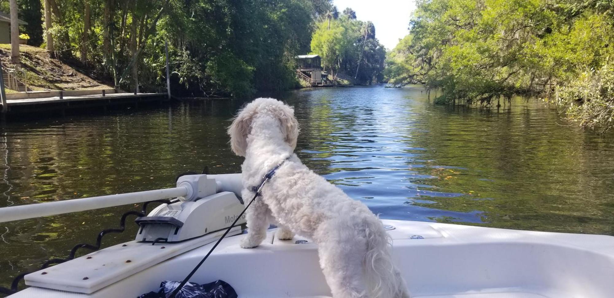 Holiday home Minutes To Boat Ramps And And Private Pool!